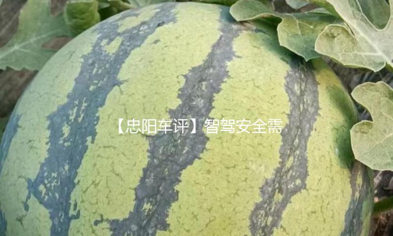 【忠阳车评】智驾安全需双轮驱动