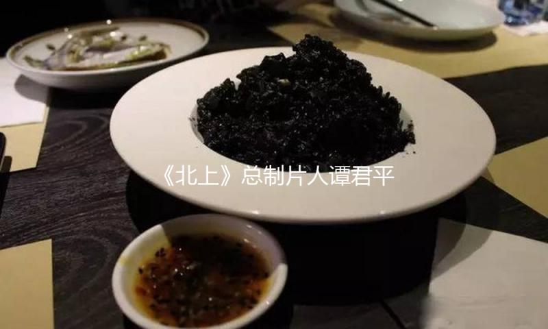 《北上》总制片人谭君平：拿出最实在的故事，期望看的人有共识 — 新京报