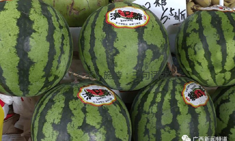 《冬至》施诗：三句话就能处理一切问题，这是喻正最大的魅力 — 新京报