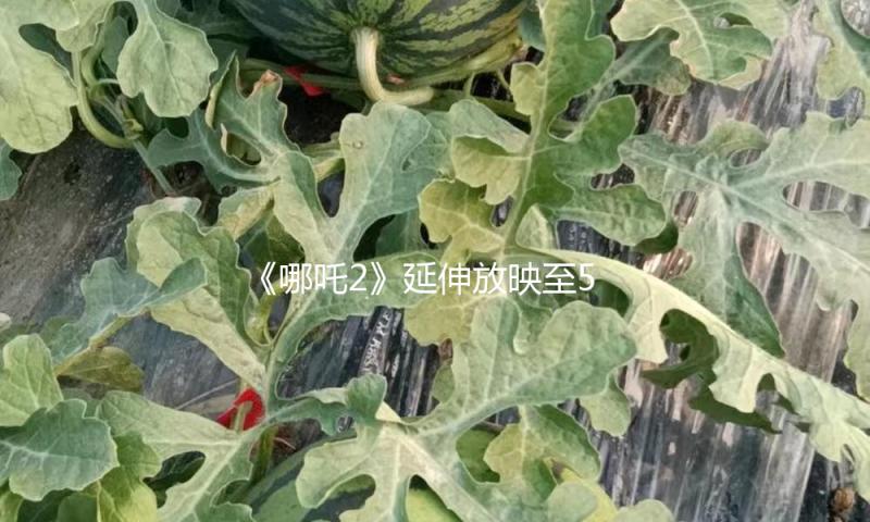 《哪吒2》延伸放映至5月31日，当时全球票房已超157亿