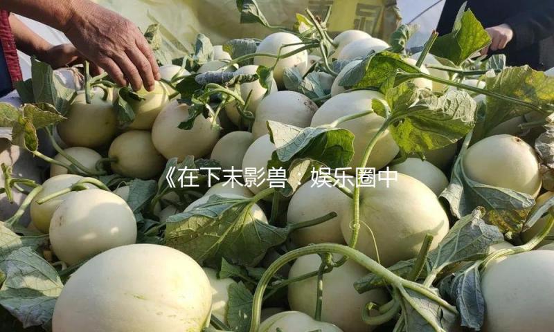 《在下末影兽：娱乐圈中的正能量使者，助力粉丝追梦》
