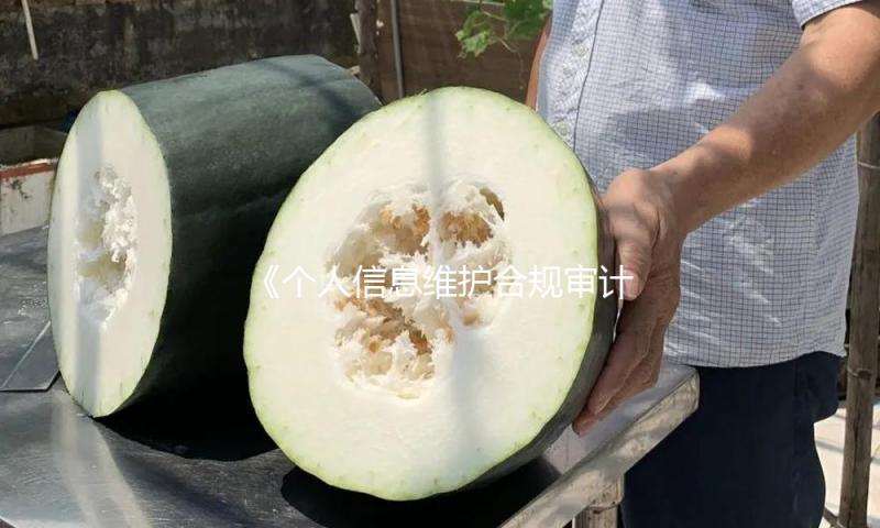 《个人信息维护合规审计管理办法》施行有关事项答记者问 — 新京报
