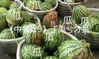 《中餐廳9》丁禹兮才是瑰寶男孩，會英語，精干，還有性情魅力
