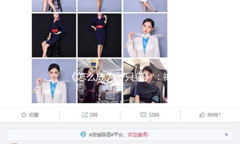 《怎么成为一只猫》：禅修猫和咱们的躁郁狂 — 新京报