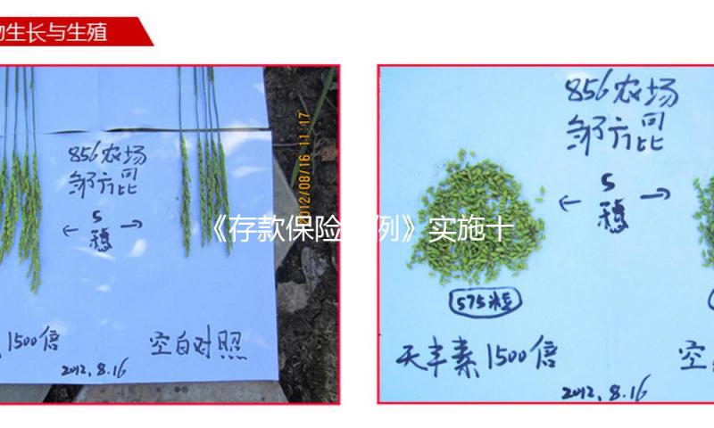 《存款保险条例》实施十周年 吉林多方式遍及常识 筑牢金融安全防地