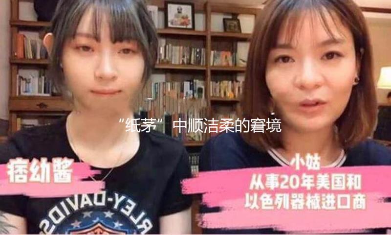 “纸茅”中顺洁柔的窘境