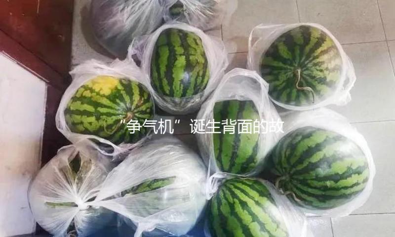 “争气机”诞生背面的故事 纪录片《歼