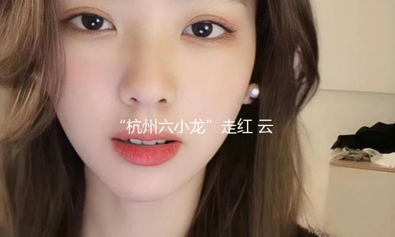 “杭州六小龙”走红 云深处科技迎来“观赏热”