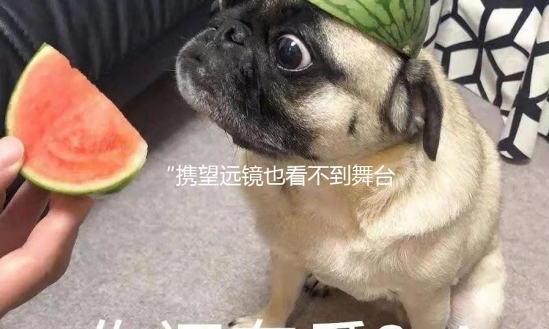 “携望远镜也看不到舞台”，周杰伦演唱会花800元只能看屏幕，你会买单吗？