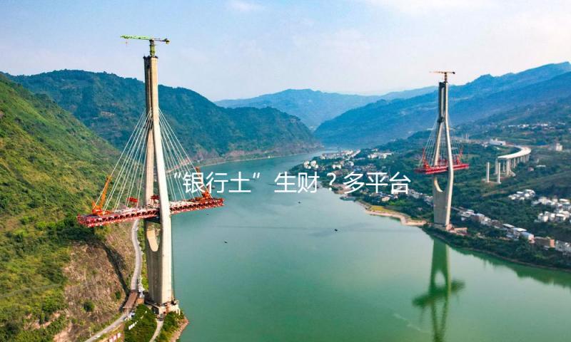 “银行土”生财？多平台下架，江苏消保委：或损害顾客权益