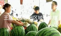 王星語：非洲區(qū)域合作意向帶來三點提示
