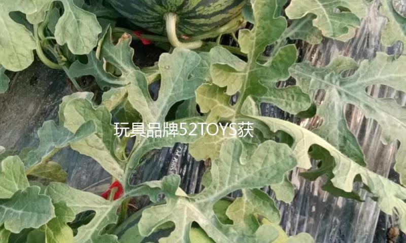 玩具品牌52TOYS获两家影视上市公司出资 IP潮玩成新掘金地？