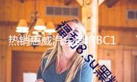 熱銷惠威汽車音響BC10.0-V無源低音炮喇叭不帶功放車載改裝