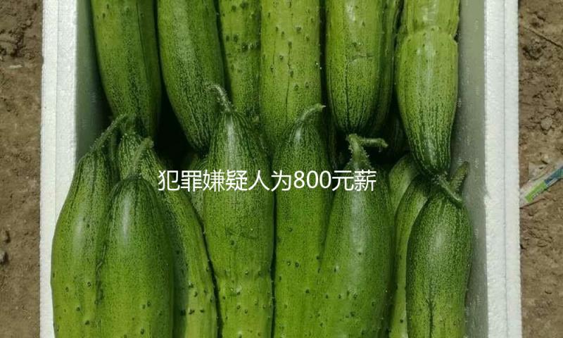犯罪嫌疑人为800元薪酬杀人放火？诽谤者被四川宜宾警方行拘 — 新京报