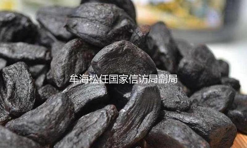 牟海松任国家信访局副局长 — 新京报