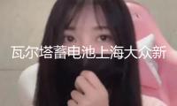 瓦爾塔蓄電池上海大眾新桑塔納途安凌渡途觀帕薩特原裝60AH電瓶