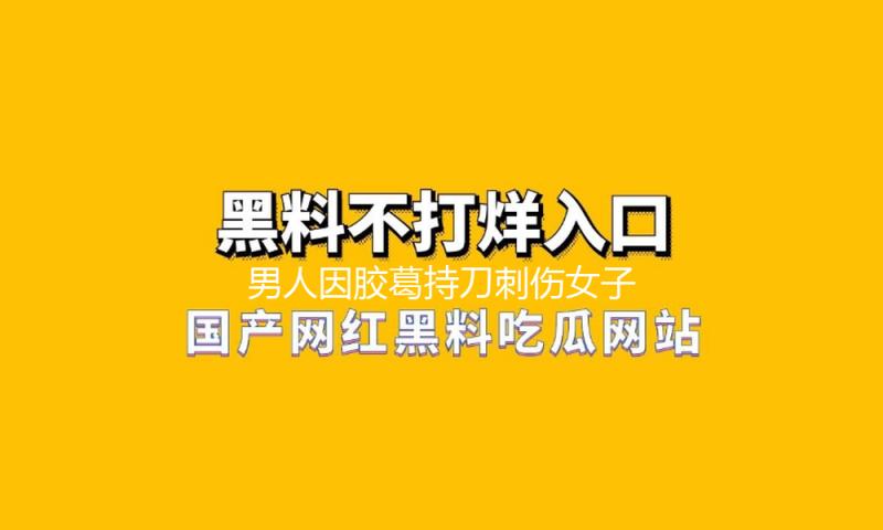 男人因胶葛持刀刺伤女子，成都警方：嫌犯涉嫌成心杀人，已被刑拘 — 新京报