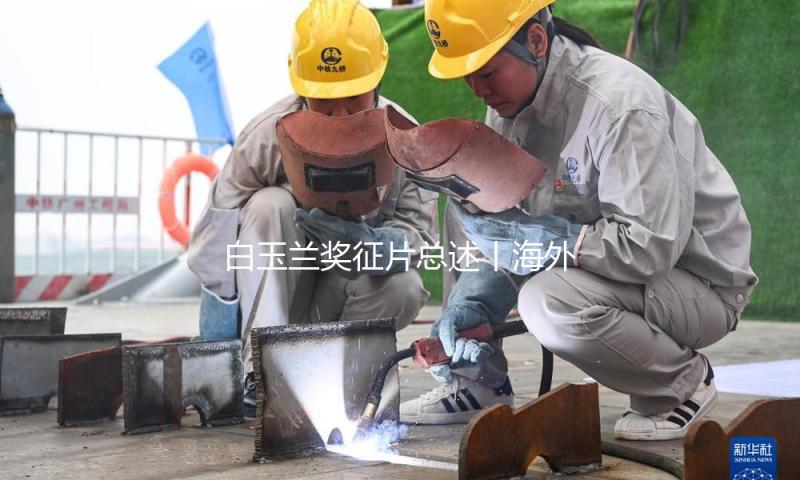 白玉兰奖征片总述丨海外剧创造趋势调查：跨界·融变·共生