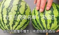 白玉蘭獲獎名單！宋佳白玉蘭封后，張桂梅式講話戳哭全網