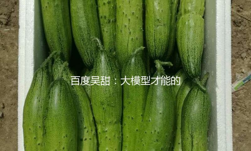 百度吴甜：大模型才能的拓宽探究出了更富想象力的立异使用 — 新京报