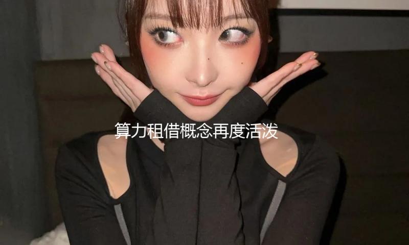 算力租借概念再度活泼 美利云走出5天3板