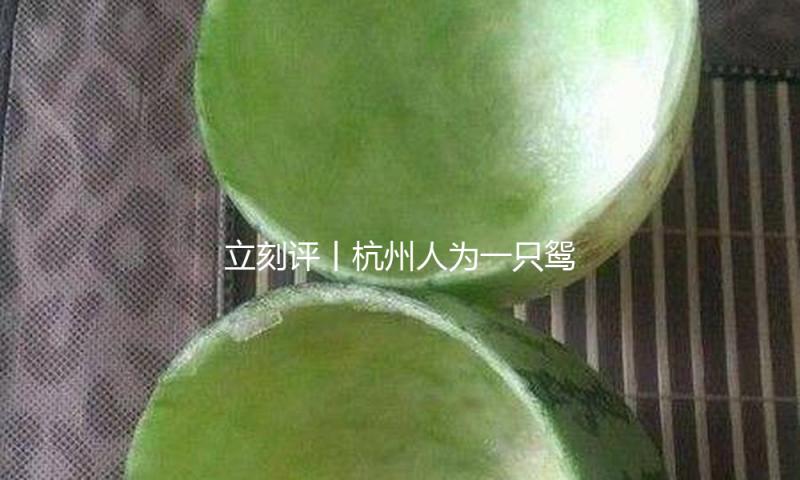 立刻评丨杭州人为一只鸳鸯讨公道，不是小题大做
