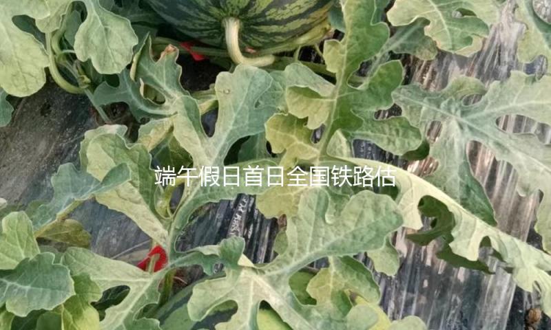 端午假日首日全国铁路估计发送旅客1780万人次 — 新京报