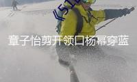 章子怡剪開領口楊冪穿藍裙搶風頭？女明星為博出位真的很拼！