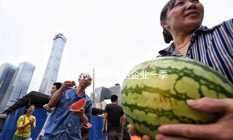 科创板集成电路企业一季报“交卷”：国产替代与需求复苏驱动成绩连续高增长态势