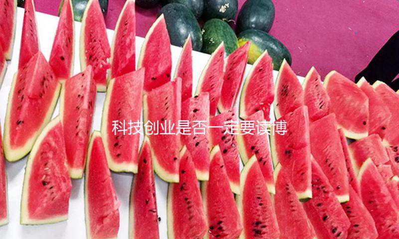 科技创业是否一定要读博？王树国：如果王兴兴读博士可能没有宇树 — 新京报