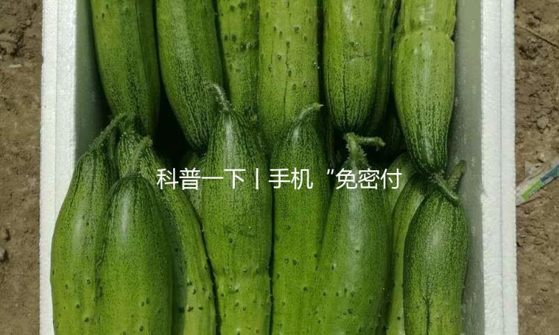 科普一下丨手机“免密付出”为什么被“亮黄牌”？