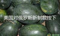 美國對俄羅斯新制裁按下暫停鍵！澤連斯基喊話普京：愿會晤！烏錄用新陸軍司令