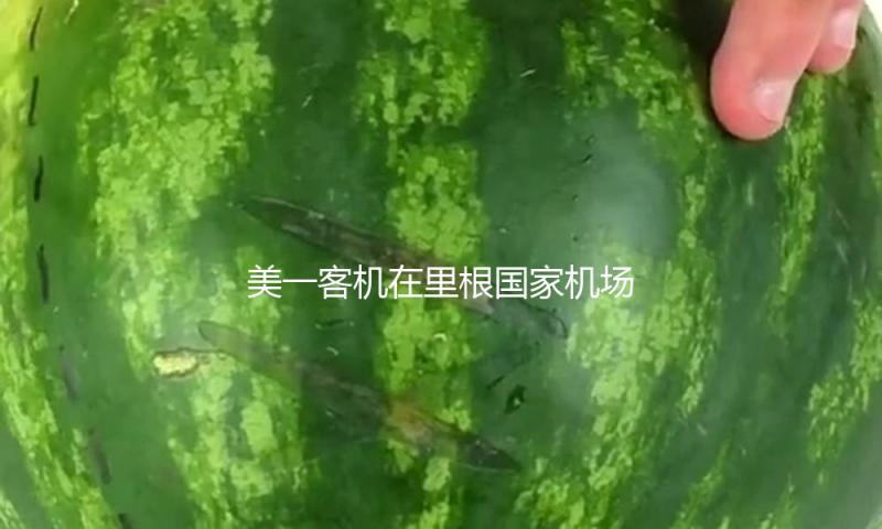 美一客机在里根国家机场起飞时几乎与军机相撞 — 新京报