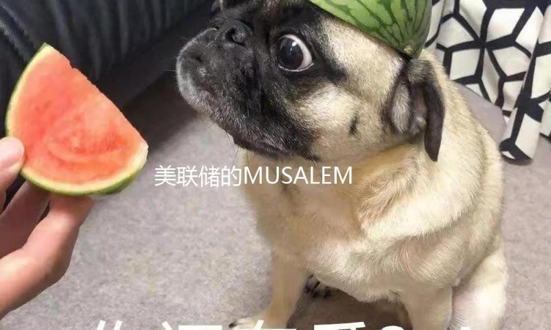 美联储的MUSALEM：在关税对通胀的影响变得显着之前 不该许诺降息