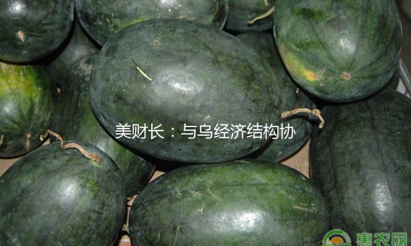 美财长：与乌经济结构协议已完结 无需再商洽