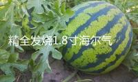 精全發燒1.8寸海爾氣動式超帶式喇叭單元 汽車高音頭AMT-47