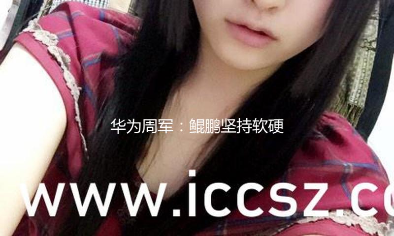华为周军：鲲鹏坚持软硬件敞开开源，助力企业加快AI转型 — 新京报