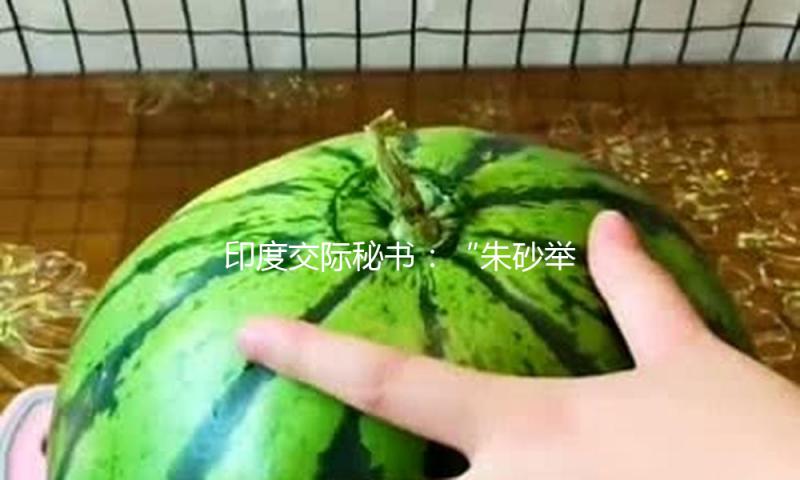 印度交际秘书：“朱砂举动”不针对军事设施，无意晋级事态
