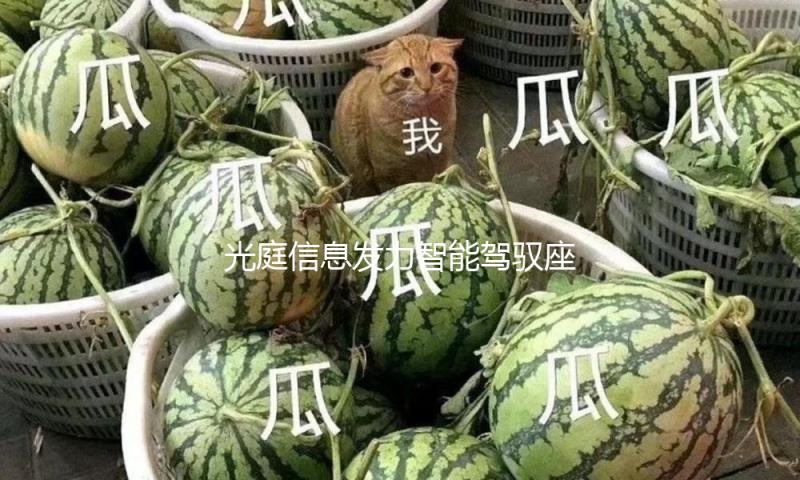 光庭信息发力智能驾驭座舱 牵手丰田日产本田