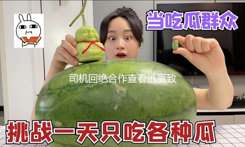 司机回绝合作查看逃离致辅警受伤，成都警方：已采纳刑事强制措施 — 新京报