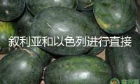 敘利亞和以色列進(jìn)行直接商洽 推進(jìn)達(dá)到平和協(xié)議