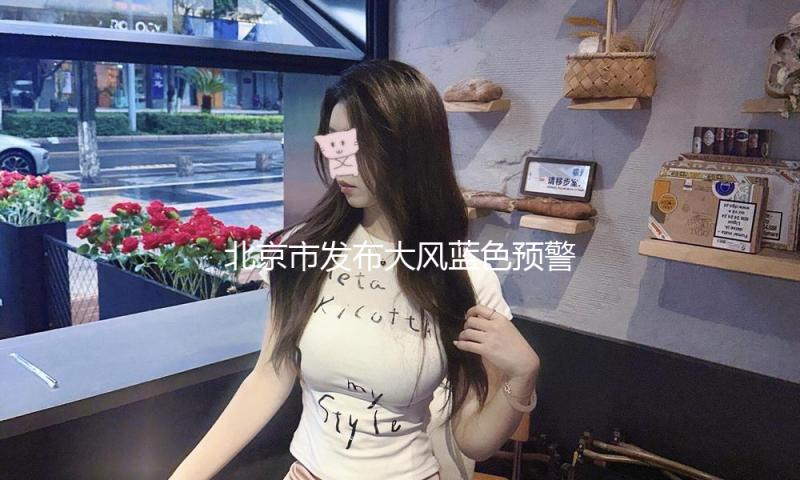北京市发布大风蓝色预警 — 新京报