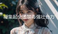 凝集起全民禁毒強(qiáng)壯合力，上海舉辦世界禁毒日主題宣揚(yáng)活動(dòng)