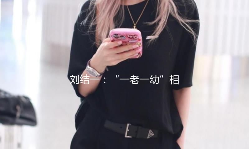 刘结一：“一老一幼”相关主张构成专题报告，被有关部门采用