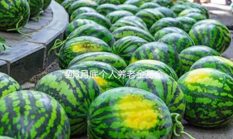 到3月底个人养老金基金达288只