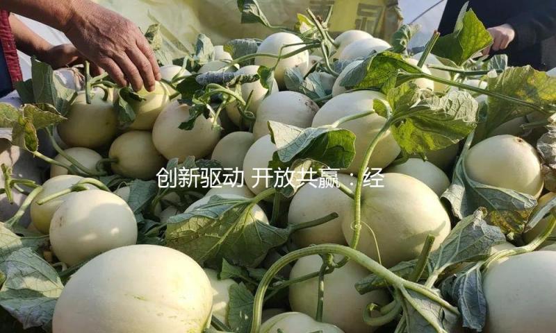 创新驱动 开放共赢：经济高质量发展新图景