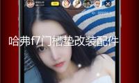 哈弗f7門槽墊改裝配件哈佛f7x專用車內(nèi)裝飾品2021款汽車用品內(nèi)飾