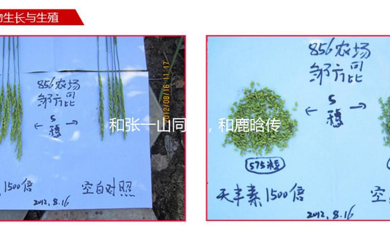 和张一山同居，和鹿晗传绯闻，她连杨迪都不放过？