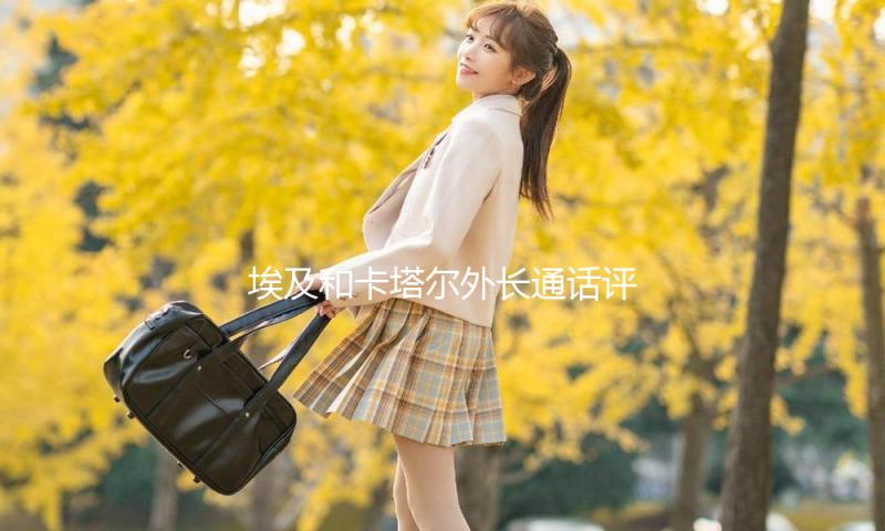 埃及和卡塔尔外长通话评论康复加沙停火协议问题