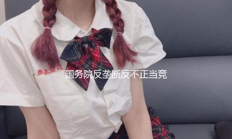 国务院反垄断反不正当竞争委员会专家咨询组举行2025年全体会议